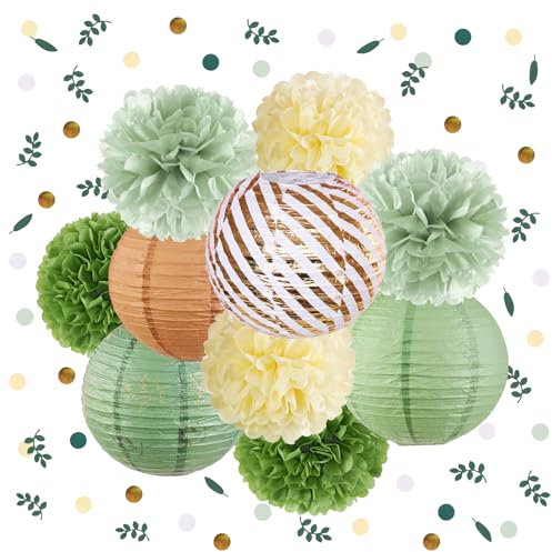 SUNBEAUTY 11 Stück Salbeigrün Pompons Deko mit Grün Pompom Papierlaterne Konfetti für Geburtstag Hochzeit BabyParty Gartenparty Dekoration