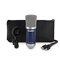 SUBZERO USB Studio Condenser Microphone SZC-300-USB – Plug & Play