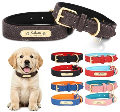 Hundehalsband personalisiert aus Leder – mit Name & Telefon | Personalisierte Halsbänder für Hunde mit Name & Telefon – weiches Leder, robust, verstellbar, bruchsicher