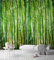 Grandeco Bambus Wandbild Fototapete A36901