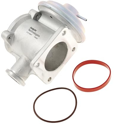 DELPHI EG10657-12B1 AGR-Ventil Abgasrückführungsventil ohne AGR-Kühler Kompatibel mit BMW 3 Touring E91 11717804352 11718479604