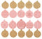 PTaizjjz 10 Pcs Christmas Cookie Cutters,Plastic Christmas Biscuit Cutters, Christmas Eelement Balls Shape Christmas Cookie Stamp for Cookie Baking Christmas Decorations