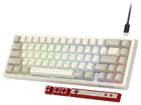 TRyYCB Retro Grey Red 60 Percent Mechanical Gaming Keyboard Gasket Mounted Backlit Design With Arrow(Retro B)