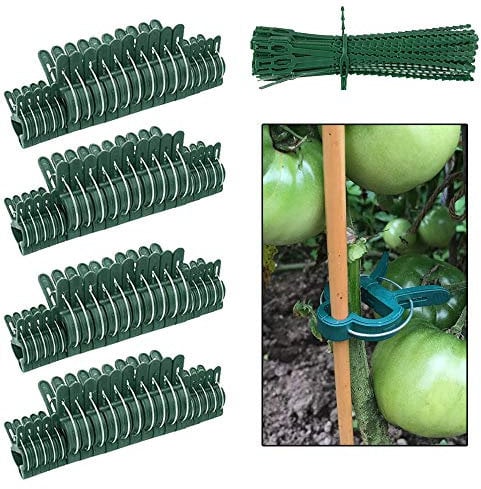 Koytoy 110 Pcs Plant Clips Set for Climbing Plants (2 Sizes),Garden Plant Clips Green Gentle Gardening Plant Gripper Clips Reusable Adjusting Support Plant Clip for Vine Garden Vegetables
