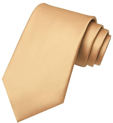 RBOCOTT Champagne Tie Mens Necktie for Business and Wedding Party(4)