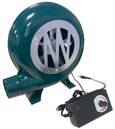 220V Soffiatore Elettrico Con Regolatore (1V-12V) Soffiatore Per Camino 20W/30W/40W/60W/80W/100W Portatile A Velocità Variabile Soffiatore Elettrico Per Campeggio All'aperto Picnic Attività(100W)