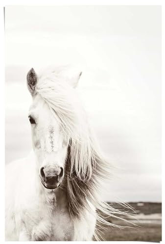 REINDERS Poster, White Horse, Kinderzimmer, Poster, Wanddeko, Room Decor, 150 gr. glänzend Bilderdruckpapier, Weiß, 91,5x61cm