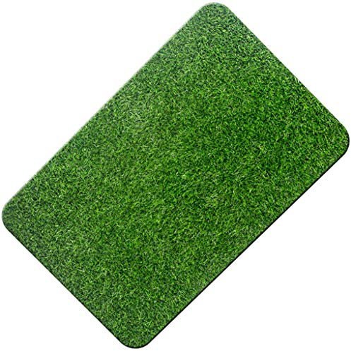 Kunstrasen, Simulation Rasen gummibesohlten Weiß Zurück TPR Indoor Teppich Gymnasium Grün Pseudoturf Anti-Blockier-System (Size : 160cmx230cm)