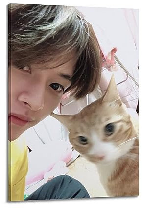 Stray Kids Poster Lee Know & The Kitten Dekorative Leinwand Wand & Kunstbild Gemälde 20 x 30 cm