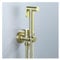 YYBAO Kit Douchette WC Or Brossé, Pulvérisateur de Bidet à Main Haute Pression Pulvérisateur de Toilettes Laiton Kit de Bidet de Toilette avec 1.5M Tuyau, pour L'hygiène Personnelle