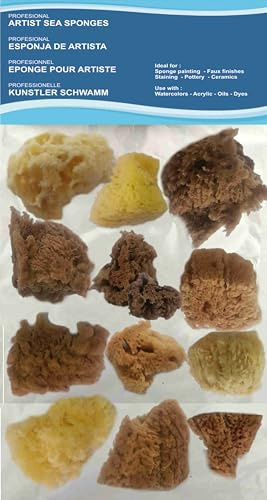 Paquete de valor de esponjas de mar naturales para pintura de artistas - 12 piezas para arte y manualidades, pintura, pasatiempos, efectos, cerámica, alfarería, decoración, esponjado, bellas artes