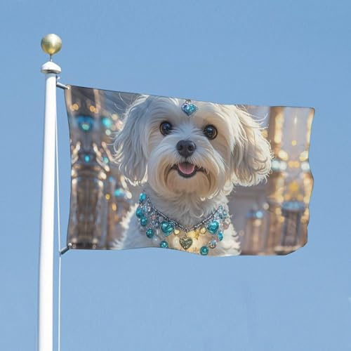 35 x 59 Zoll große, hübsche Malteser-Hunde-Flagge, Hausflagge, lustiges Feiertagsbanner, doppelseitige, vertikale Outdoor-Flagge, Sommer-Gartenflagge mit Messingösen, große Gartenflagge für drinnen