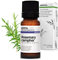 Aroma Labs - Rosmarino Canfora BIO - Olio Essenziale Chemiotipizato e Certificato AB - 10 mL
