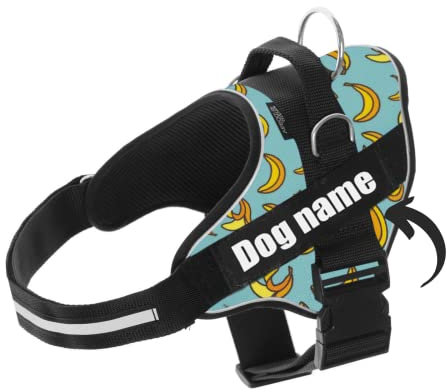 SUPER DOGGY Personalisiertes Hundegeschirr - Reflektierendes und sicheres Hundegeschirr - Brustgeschirr mit 2 Namensschildern - Geschirr für kleine, Mittlere und Große Hunde (Blue Banana, S 6-14KG)