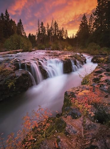 Buffalo Games - Gold - Pacific Northwest Hue - 1000 Piece Jigsaw Puzzle for Adults Challenging Puzzle Perfect for Game Nights - Finished Puzzle Size is 26.75 x 19.75