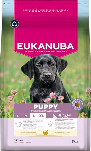 Eukanuba Welpenfutter mit frischem Huhn für große Rassen, Premium Trockenfutter für Junior Hunde, 3 kg