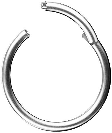 Piercingfaktor Universal Titan G23 Piercing Scharnier Clicker Ring Septum für Tragus Helix Ohr Nase Lippe Brust Intim Nippel Augenbrauen Silber 1,6mm x 10mm