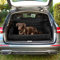 Doctor Bark gepolsterter Kofferraumschutz Hundedecke mit Ladekantenschutz mit All-Side-Schutz, waschbar & geruchsfrei, KFZ Kofferraum Autodecke für Hunde (Gr. M/L - 90x110 cm/Schwarz)