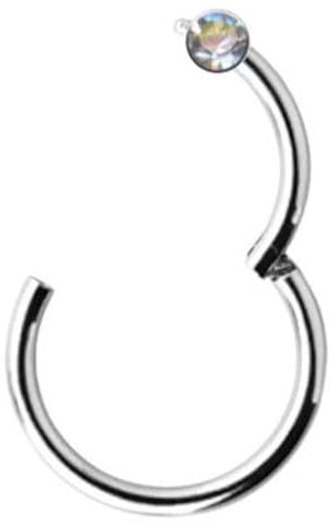 CLICKER CHIRURGENSTAHL 316L Edelstahl SEGMENTRING Piercing-Ring Scharnier Septum Nase Ohr Helix WEISS STRASS Klicker Silber ECHTE ZIRKONIA KRISTALLE WEIß Klar (1.2mm x 10mm, Stahl Silbern 1 Kristall)