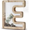DBPBToU Tirelire en Bois en Forme de Lettre, Tirelire Cochon Personnalisée pour Enfants, Tirelire Billet Transparente Créative pour Cadeaux de Festivals/Décoration Intérieure/Souvenir (E)