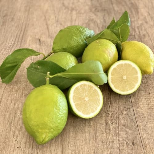 Limoni non trattati 15kg