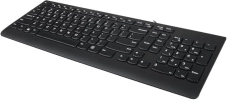 Lenovo 300 USB Tastatur | Deutsche Tasten mit Copilot Taste | Schwarz