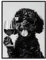 Dazzlewall Lustiges Tier Bild Hund trinkt Wein, Schwarz Weiß Hunde Bild, Dog Posters for Home Living Room Entrance Hall Decor 12×16 in Ungerahmt
