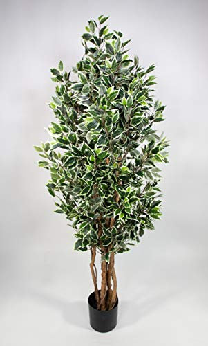Ficus Nitida 180cm grün-weiß LA Kunstbaum Dekobaum Kunstpflanzen künstlicher Baum Pflanzen