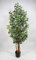 Ficus Nitida 180cm grün-weiß LA Kunstbaum Dekobaum Kunstpflanzen künstlicher Baum Pflanzen