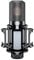 Takstar Micrófono para Home y Studio Recording PC-K850 Cápsula Dorada de 34 mm