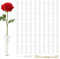 Prebarfun 50 Stück Reagenzgläser für Blumen, Aufhängbar Blumenröhrchen Kunststoff - 7.2 x 1.8cm Blumenröhrchen mit Deckel, Reinigungsbürste & Blumenkordel, Reagenzglas für Blumen, Durchsichtig