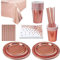 ZEEREE Vaisselles Anniversaire Kit, 121 Pièces Party Vaisselle avec Tasse Serviette Papier Paille Assiettes Tasses Serviettes Thème Rose Gold Décorations Anniversaire pour Fille (24 Invités)