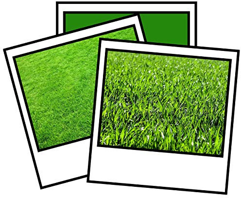 25 kg Spring/Summer Professional Lawn Grass Fertiliser with Moss Killer feed NPK 3 – 6 – 8 + 4 Fe