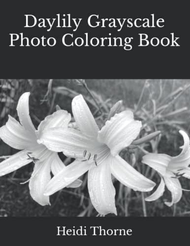Daylily Grayscale Photo Coloring Book