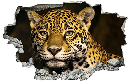 Leopard 3D Durchbruch Wandsticker, Tier Selbstklebend Wandtattoo Wanddeko Aufkleber, Natur Wanddurchbruch sticker für Raumdekoration Wohnzimmer Kinderzimmer Junge Mädchen Teenager Zimmer