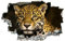 Leopard 3D Durchbruch Wandsticker, Tier Selbstklebend Wandtattoo Wanddeko Aufkleber, Natur Wanddurchbruch sticker für Raumdekoration Wohnzimmer Kinderzimmer Junge Mädchen Teenager Zimmer