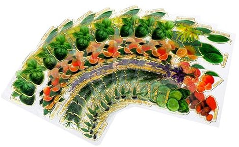 STOBOK 10blätter Teiliges Selbstklebende Ätherische Öl Flaschenetiketten Wiederablösbar Vielseitig Beschriftbar Zur Organisation Und Kennzeichnung Von Kosmetik Duftflaschen