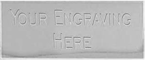 TroShow Engraved Nameplate for Trophy Award Display Silver Colour Self Adhesive 60mm wide x 25mm High