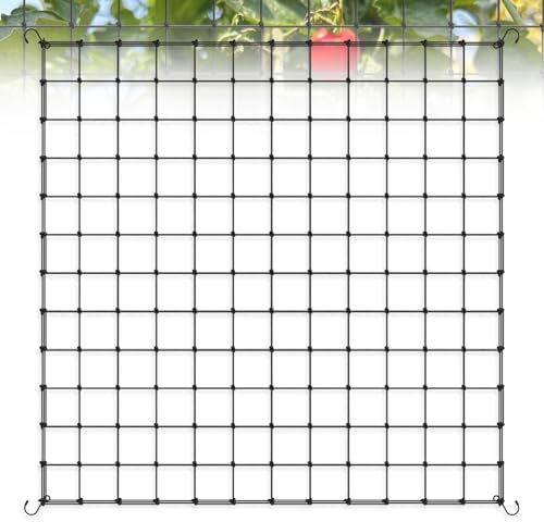 Sprifityy Wachsen Zelt Netz,Scrog Netz 60 x 60cm,Grow Netz mit 4 Haken,für Pflanzen, Gemüse,Obst,Elastische Spalier Netz,Passend für Garten,Balkone,Hof,Gartenarbeit