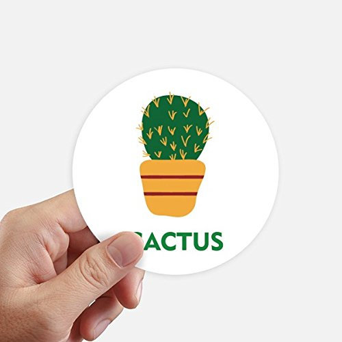 DIYthinker Cactus Grün Topfpflanze Sukkulente Runde Sticker 10Cm Wand Koffer Laptop Motobike Aufkleber 8Pcs Diameter 10cm Mehrfarbig