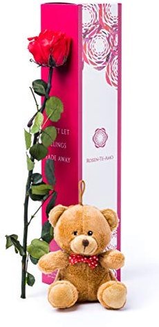 Rosen-Te-Amo | Infinity Rosen | konservierte ewige Rose | hellbrauner Teddybär & Grußkarte | Geschenk-Box | feines Design || Geburtstagsgeschenk für Frauen Mama Freundin Oma
