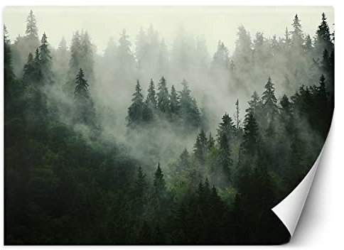 Feeby Fototapete Wald im Nebel 300x210 cm Grün XXL Vlies Wandtapete Tapeten Wohnzimmer Schlafzimmer Jugendzimmer Moderne Design Wandbild Wand Dekoration Landschaft Natur