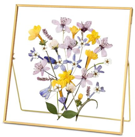 REDHUGO Cadre en verre pour fleurs pressées fait à la main, double cadre en verre, cadre de table, cadre photo géométrique simple en métal, cadre flottant en verre, carré, doré, 25,4 x 25,4 cm