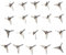 Ymxygz 20 Pezzi/Set di Chiodi Antiforatura per Pneumatici per Auto Leggeri, Antifurto, Triangolari, per Auto, Chiodi Antiforatura per Pneumatici