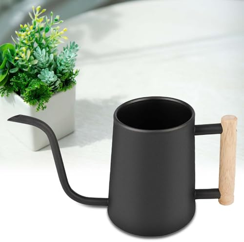 Regadera para interior de 1 l, regadera negra de acero inoxidable de 1 L, regadera para plantas de interior con caño largo y cómodo mango de madera, puede regar 1 L para pequeñas plantas en macetas y