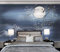 3D Wallpaper Murals Chinese Bird Blue Moon Photo Wall Murals 3D Mural Wallpaper Effect Decoration Wallpaper Living Room for Bedroom Rose Gold Retro-350cm×256cm