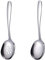2 Pcs Set Stainless Steel Large Buffet Serving Spoons with Long Handle for Kitchen Restaurant Banquet
