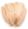 maDDma 20 Enten-Federn 15-21cm Bastelfedern Federn f. Basteln Dekoration Hüte Kostüme, Farbe:apricot