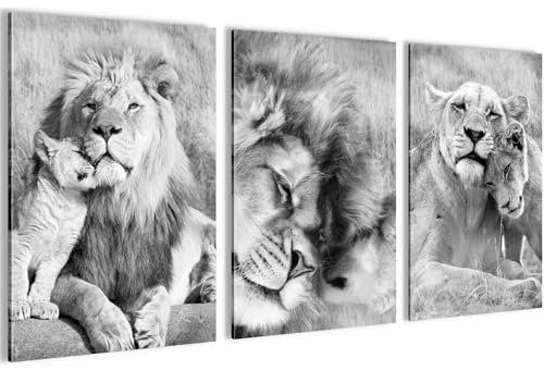 Novart Bilder Set Löwen Afrika Tiere - Kein Extra Rahmen benötigt - Wandbilder für Wohnzimmer Schlafzimmer Flur - 3 Teilig Deko Schwarz Weiss - N036236b