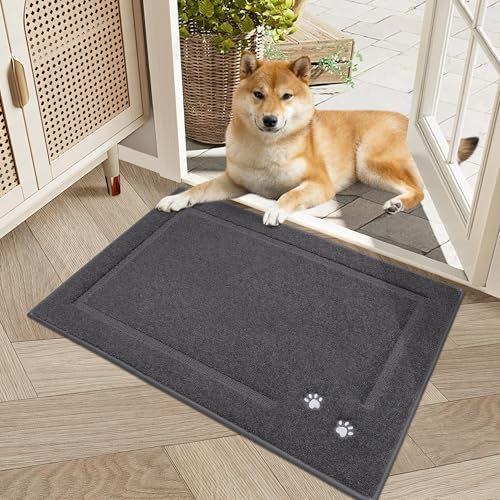 BEQHAUSE Zerbino 50 x 80 cm, assorbente, per interni, porta di casa, corridoio, grigio scuro